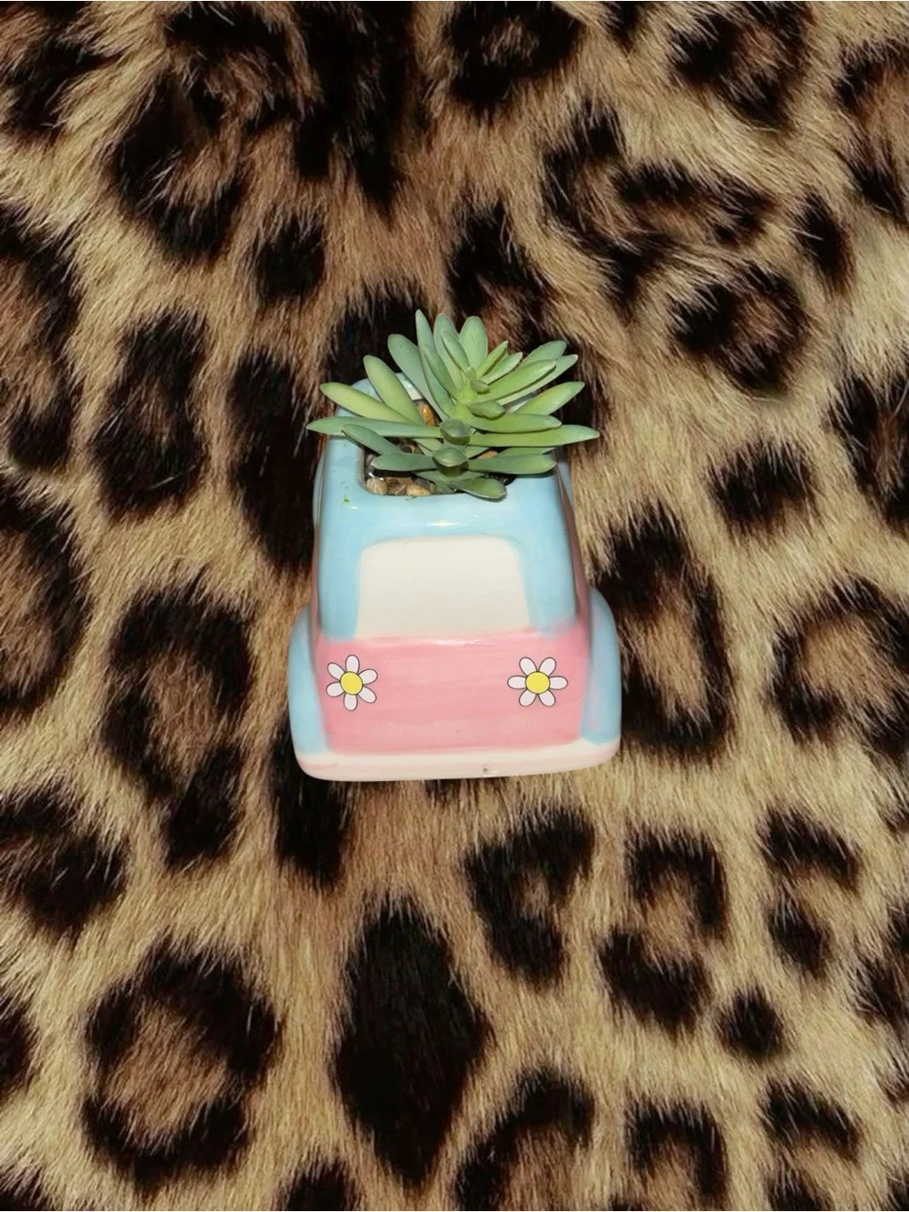 Car Decor Bundle (2 Items)